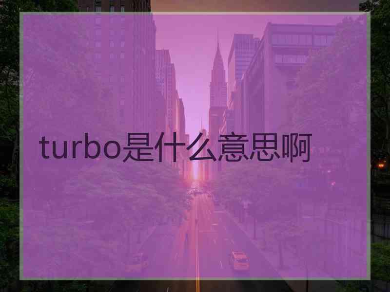 turbo是什么意思啊