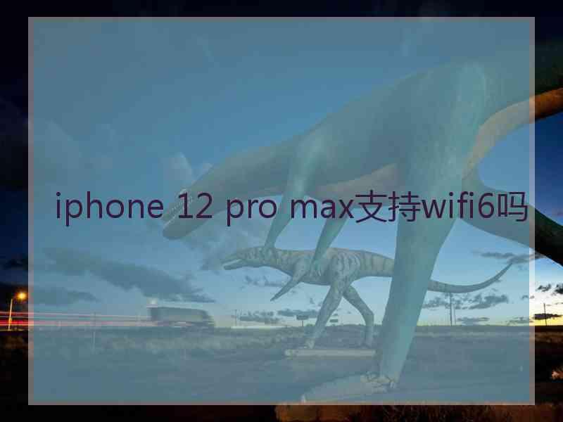 iphone 12 pro max支持wifi6吗