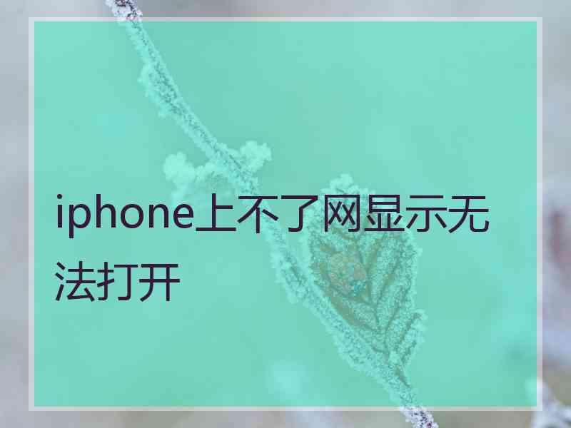 iphone上不了网显示无法打开