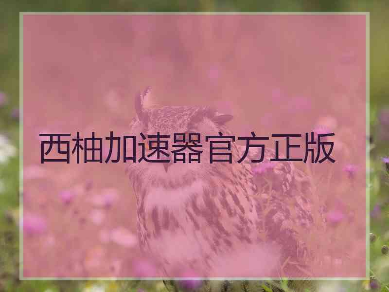 西柚加速器官方正版