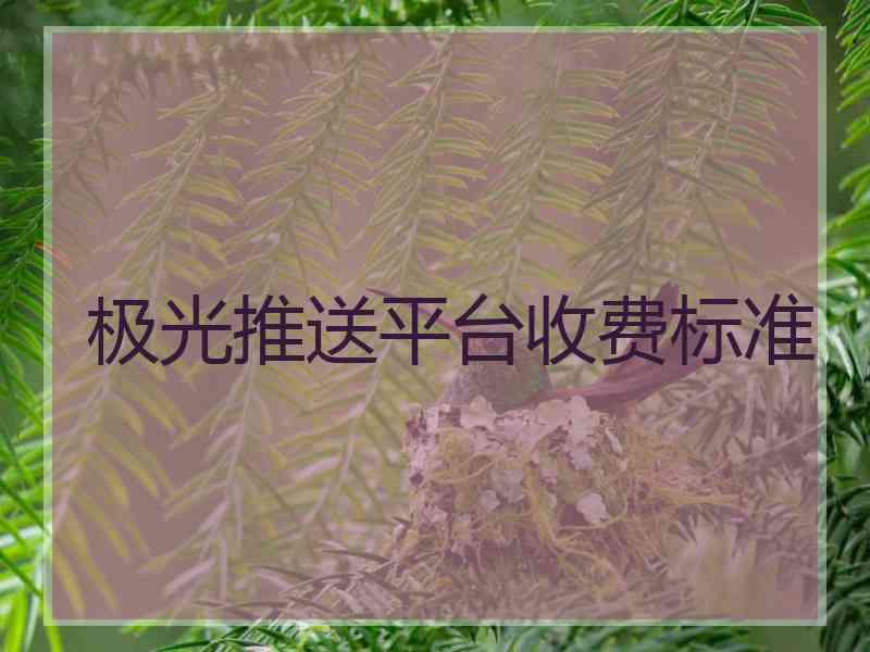 极光推送平台收费标准