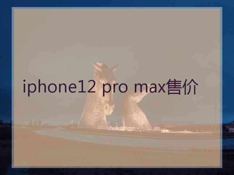 iphone12 pro max售价