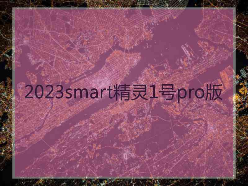 2023smart精灵1号pro版