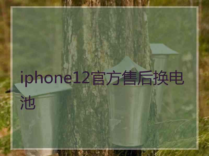 iphone12官方售后换电池