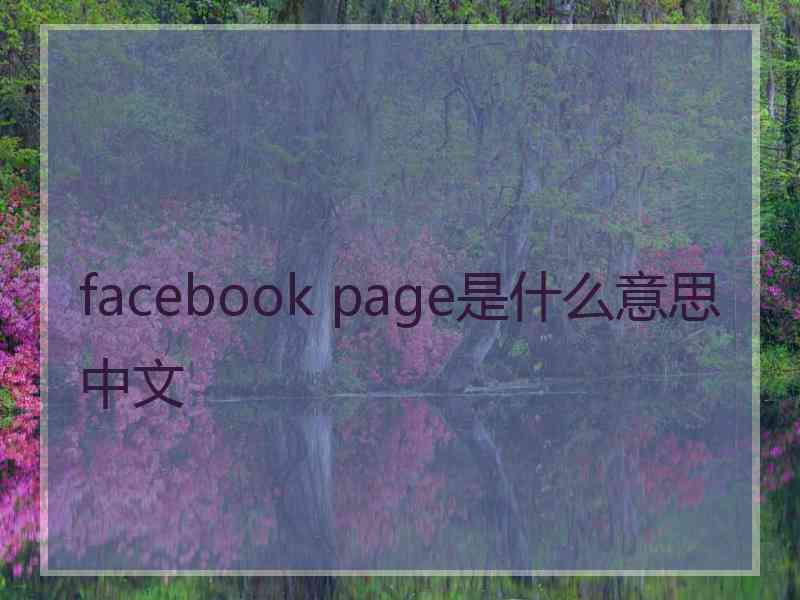 facebook page是什么意思中文