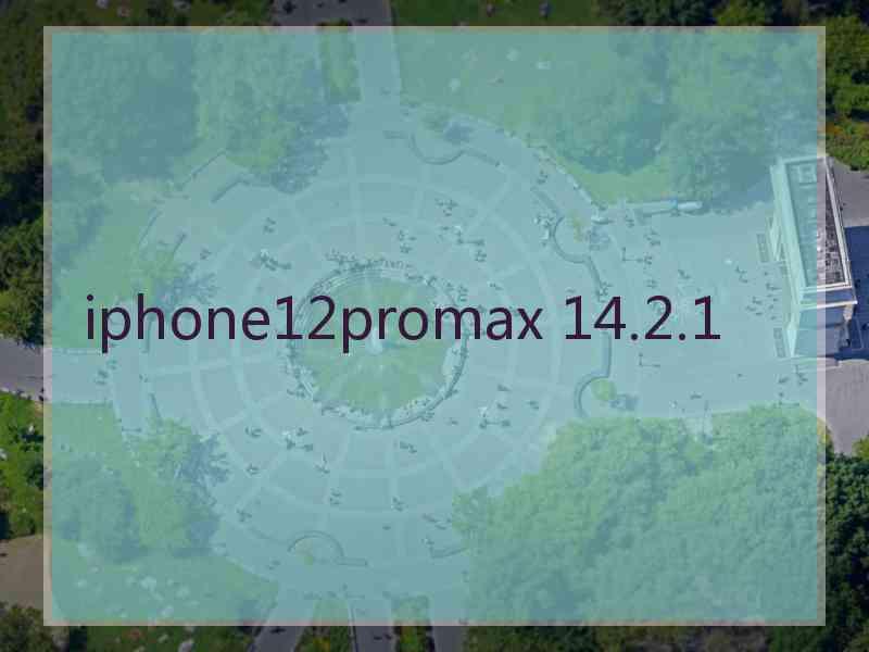 iphone12promax 14.2.1