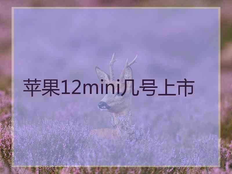 苹果12mini几号上市