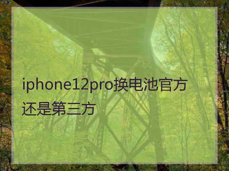 iphone12pro换电池官方还是第三方