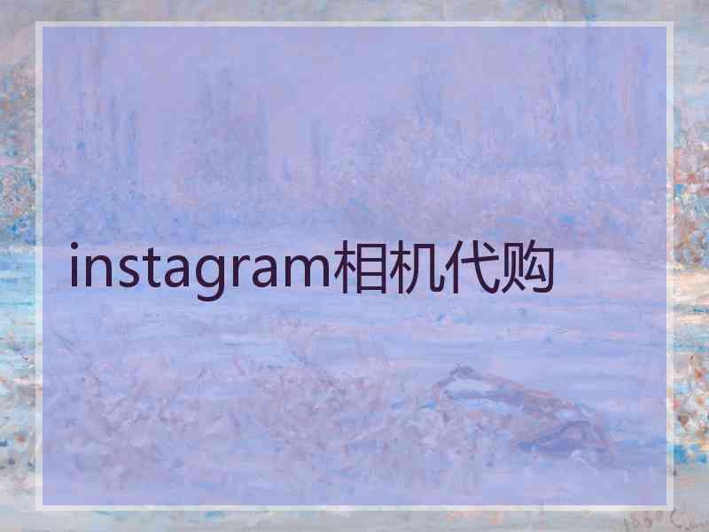 instagram相机代购