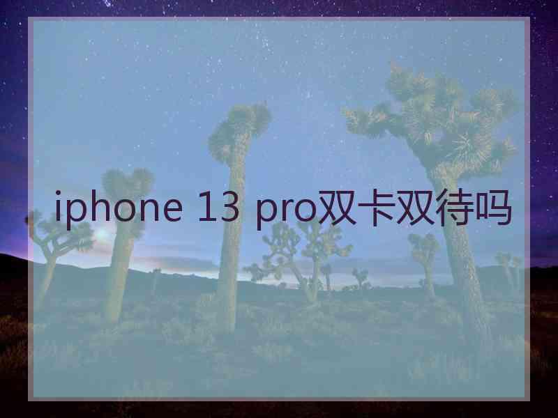 iphone 13 pro双卡双待吗