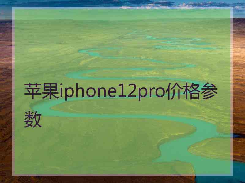 苹果iphone12pro价格参数