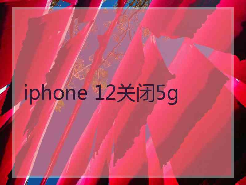 iphone 12关闭5g