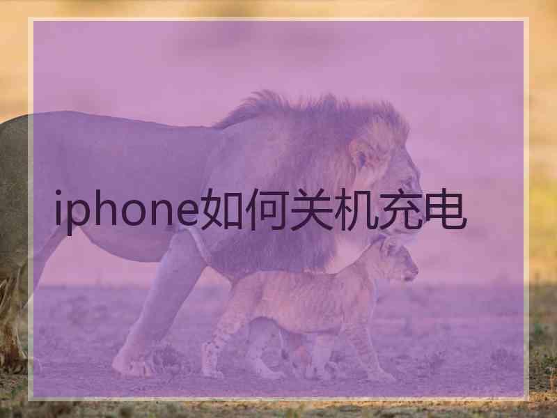 iphone如何关机充电