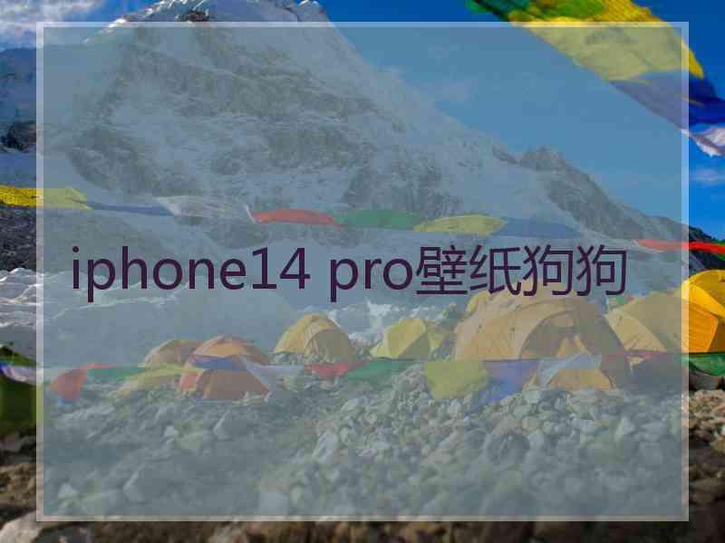 iphone14 pro壁纸狗狗