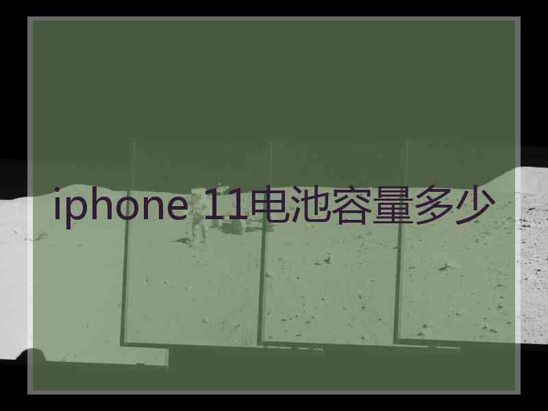 iphone 11电池容量多少