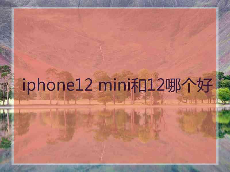 iphone12 mini和12哪个好