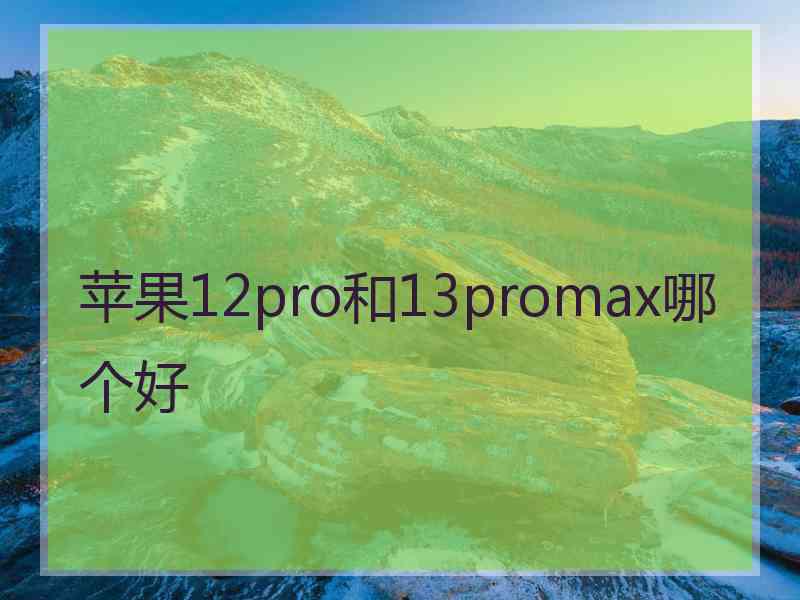 苹果12pro和13promax哪个好