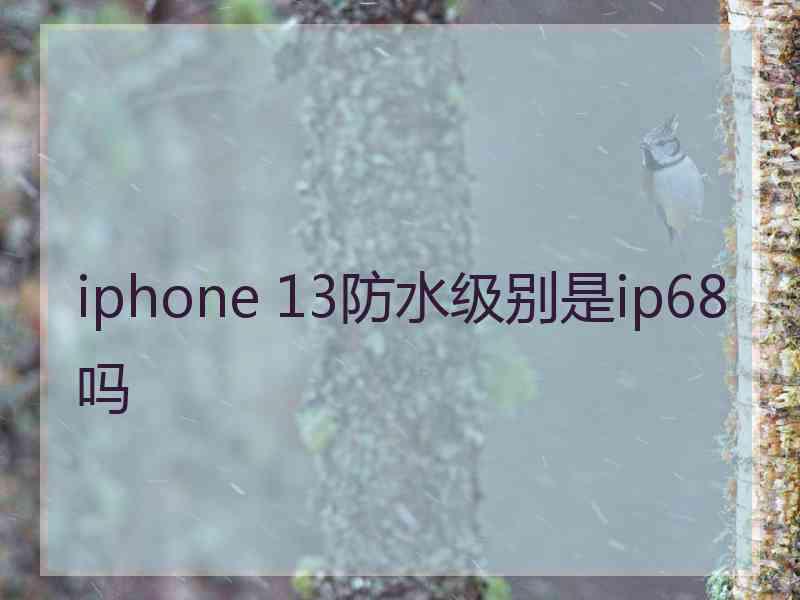 iphone 13防水级别是ip68吗