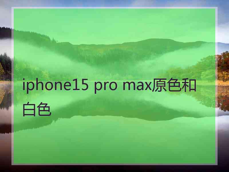 iphone15 pro max原色和白色