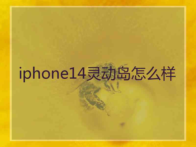 iphone14灵动岛怎么样