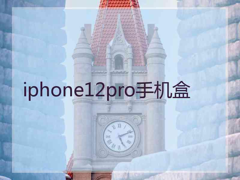 iphone12pro手机盒