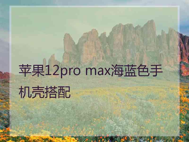 苹果12pro max海蓝色手机壳搭配