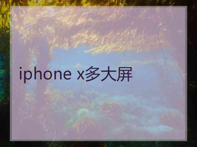 iphone x多大屏