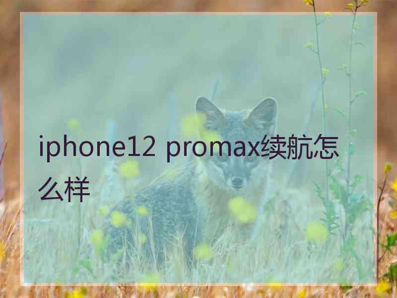 iphone12 promax续航怎么样