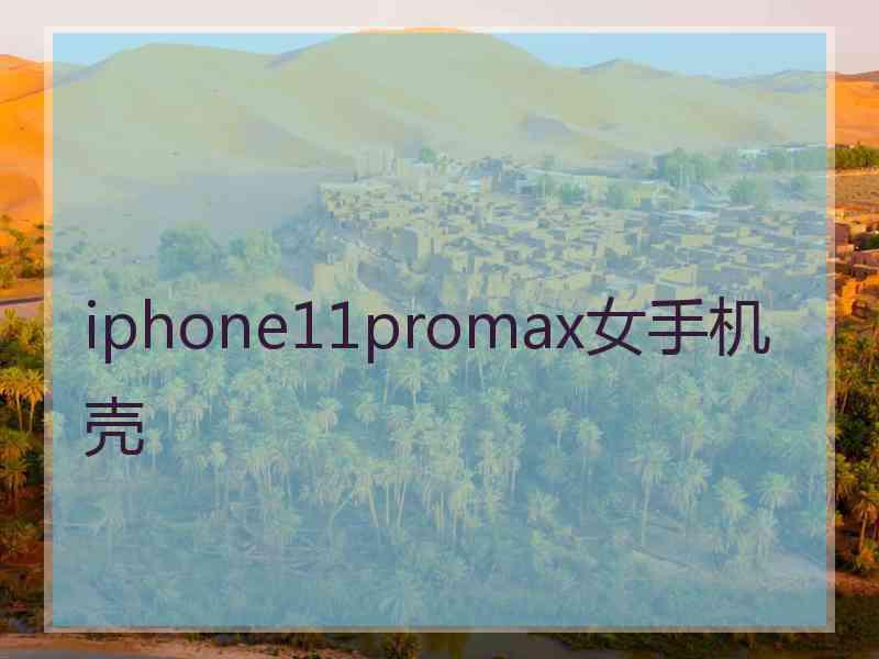 iphone11promax女手机壳