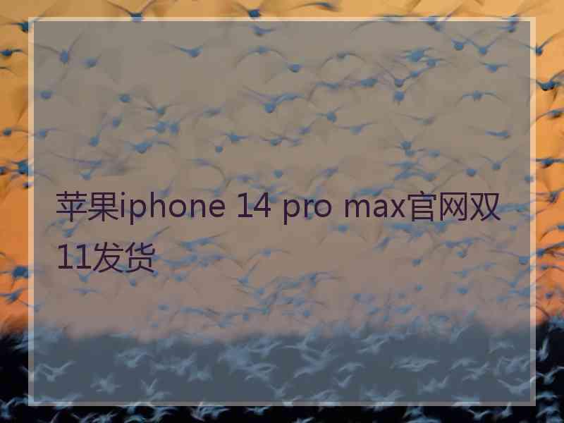 苹果iphone 14 pro max官网双11发货