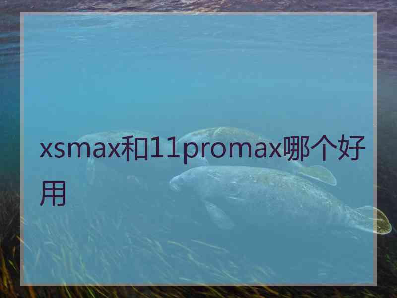 xsmax和11promax哪个好用