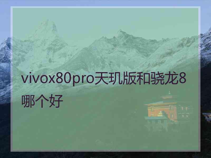 vivox80pro天玑版和骁龙8哪个好