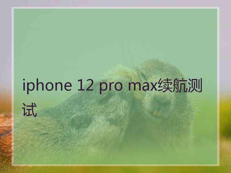 iphone 12 pro max续航测试