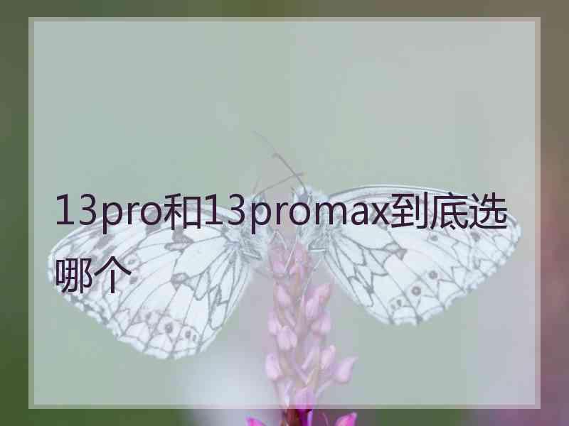 13pro和13promax到底选哪个