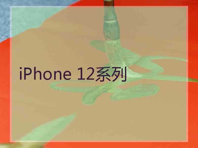 iPhone 12系列