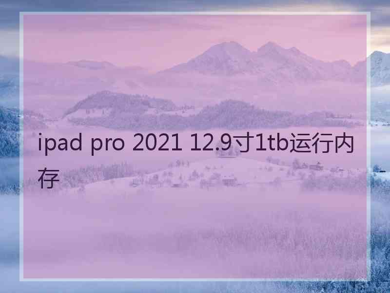 ipad pro 2021 12.9寸1tb运行内存