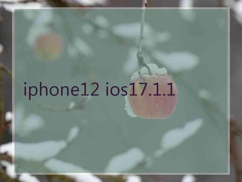 iphone12 ios17.1.1