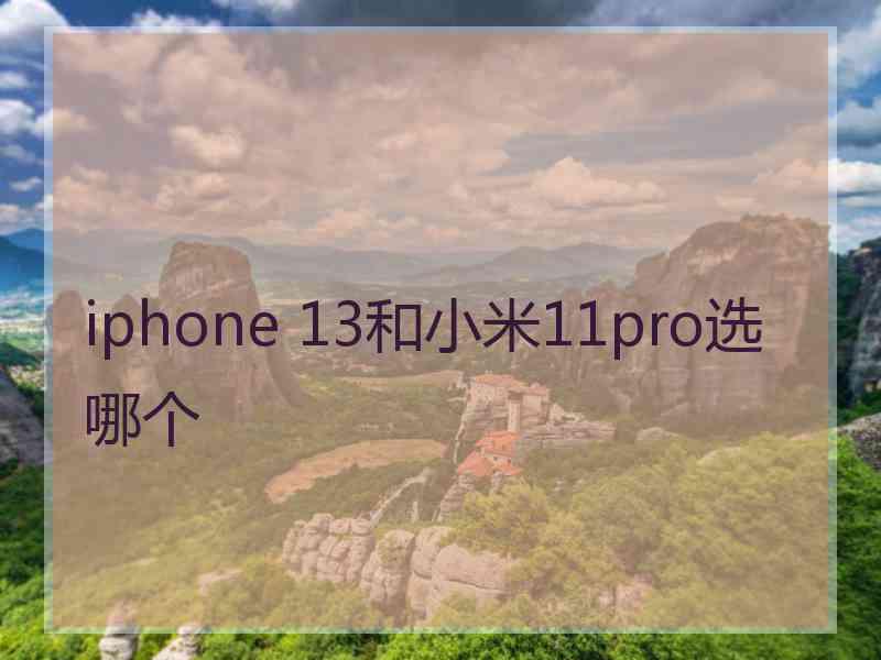 iphone 13和小米11pro选哪个