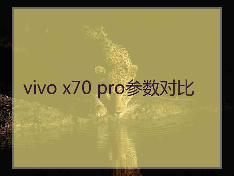 vivo x70 pro参数对比