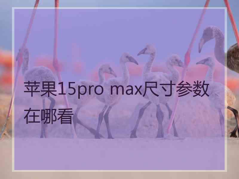 苹果15pro max尺寸参数在哪看