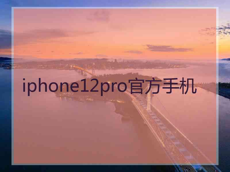 iphone12pro官方手机