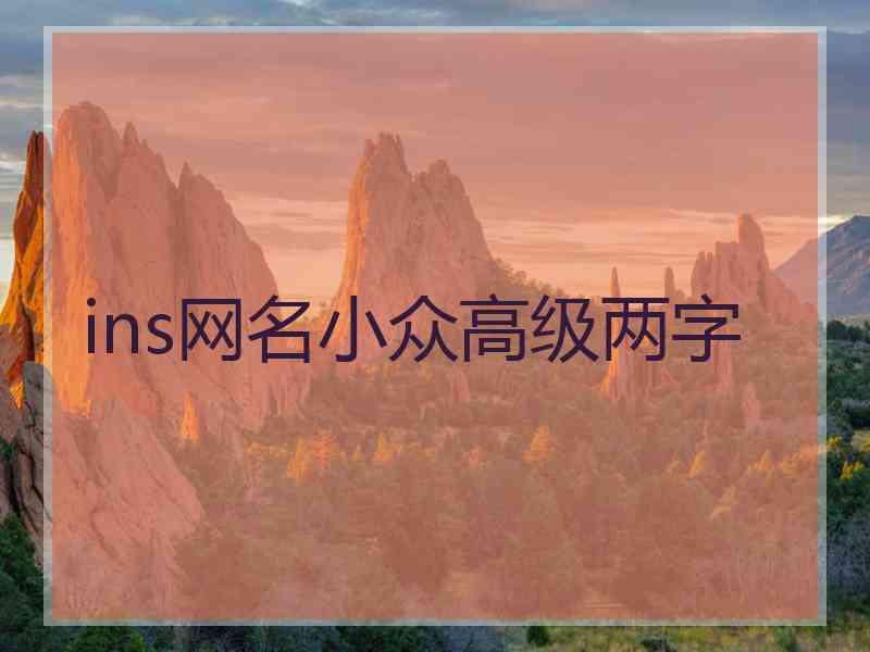 ins网名小众高级两字