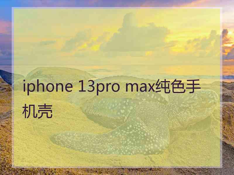 iphone 13pro max纯色手机壳