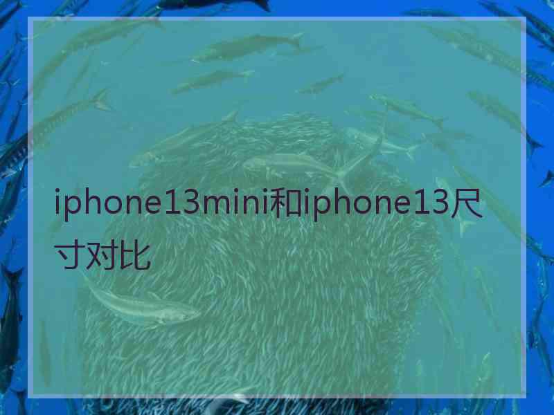 iphone13mini和iphone13尺寸对比