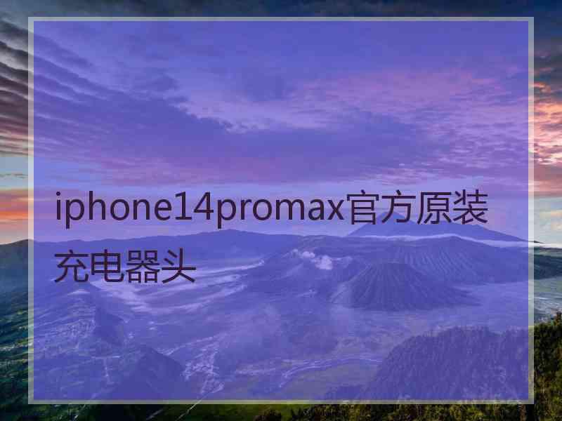 iphone14promax官方原装充电器头