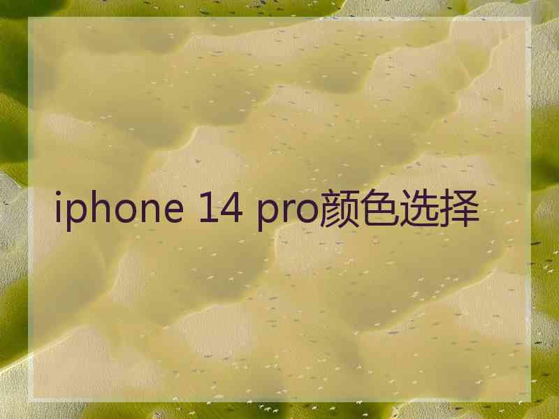 iphone 14 pro颜色选择