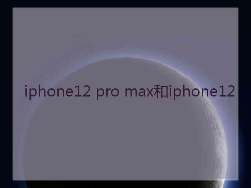 iphone12 pro max和iphone12