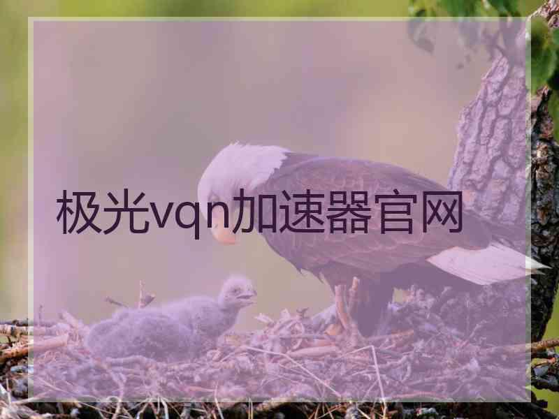 极光vqn加速器官网