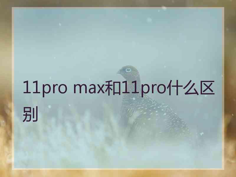 11pro max和11pro什么区别