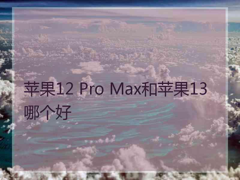 苹果12 Pro Max和苹果13哪个好